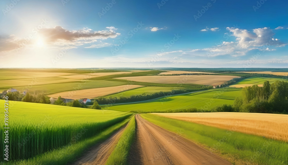 Beautiful summer rural natural landscape with fields young wheat, blue sky with clouds. Warm fresh morning and road stretching into distance. Panorama of spacious hilly area