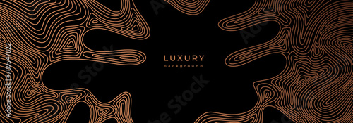 Wavy golden design elements. Luxury banner with wave pattern. Flowing liquid texture. Bronze curves. Black background with gold lines. Abstract geometric vector illustraton