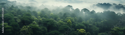 Lush green forest from a birdseye view, showcasing dense tree canopies as part of a forest conservation area, with morning mist settling below