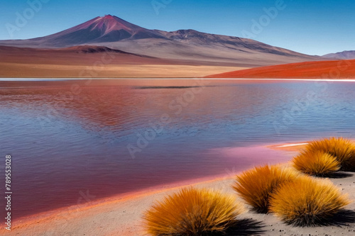Landscape photo of Laguna Colorada lake with dry vegetation at Andes mountains background. Scenery view of Bolivia in natural wilderness. Bolivian nature landmarks concept. Copy ad text space, poster © Alex Vog