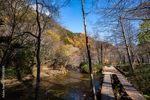 Experience the Vibrant Colo...