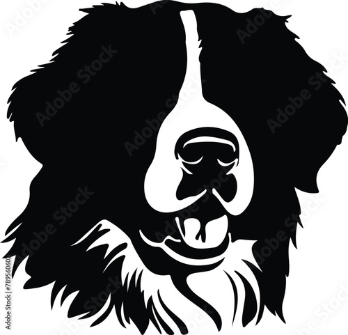 Bernese Mountain Dog silhouette