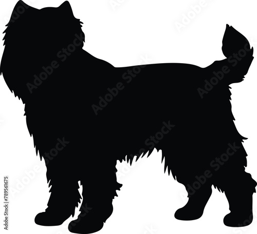 Bouvier des Flandres silhouette