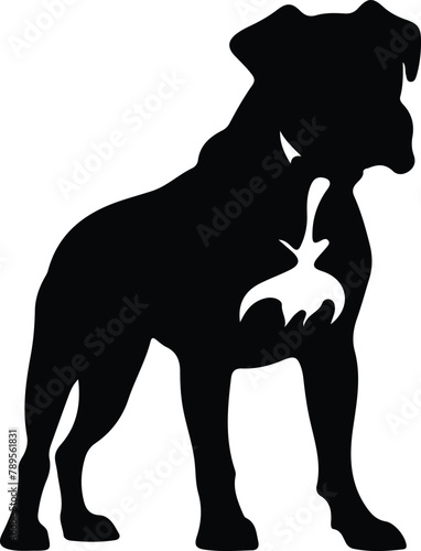 Boxer silhouette