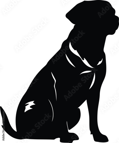 Chesapeake Bay Retriever silhouette