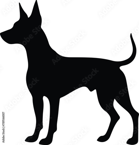 German Pinscher silhouette