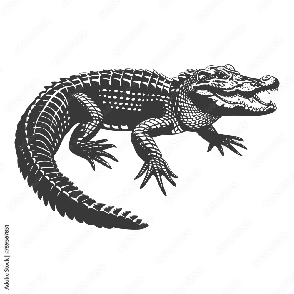 Fototapeta premium Silhouette alligator animal black color only full body