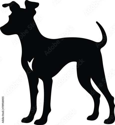 Italian Greyhound silhouette