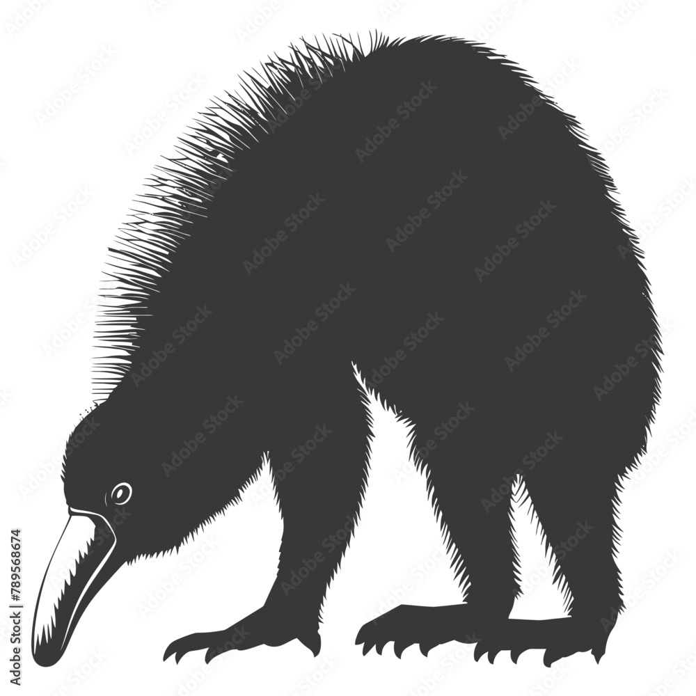 Silhouette Anteater animal black color only full body Silhouette Anteater animal black color only full body