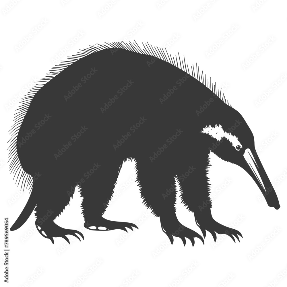 Silhouette Anteater animal black color only full body Silhouette Anteater animal black color only full body