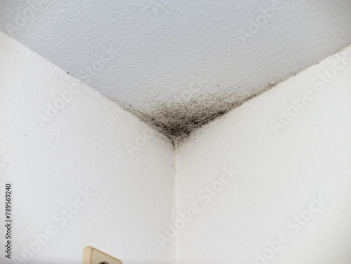 Black mould in a corner of a domestic room. Dangerous and unhealthy problem due to mistakes in the construction of the building. Water and moisture in the house wall.