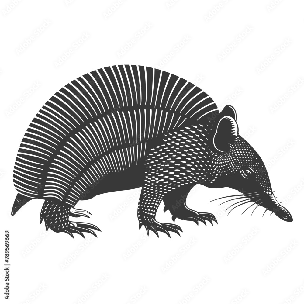 Silhouette armadillo animal black color only full body Silhouette armadillo animal black color only full body