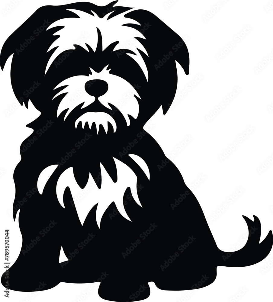 Obraz premium Maltese silhouette
