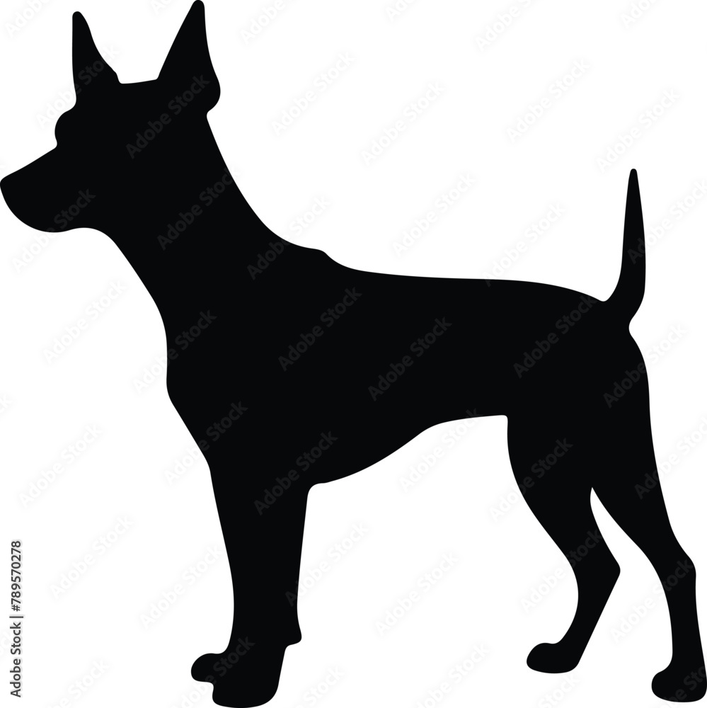 Manchester Terrier silhouette