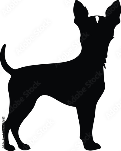 Miniature Pinscher silhouette