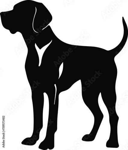 Redbone Coonhound silhouette photo