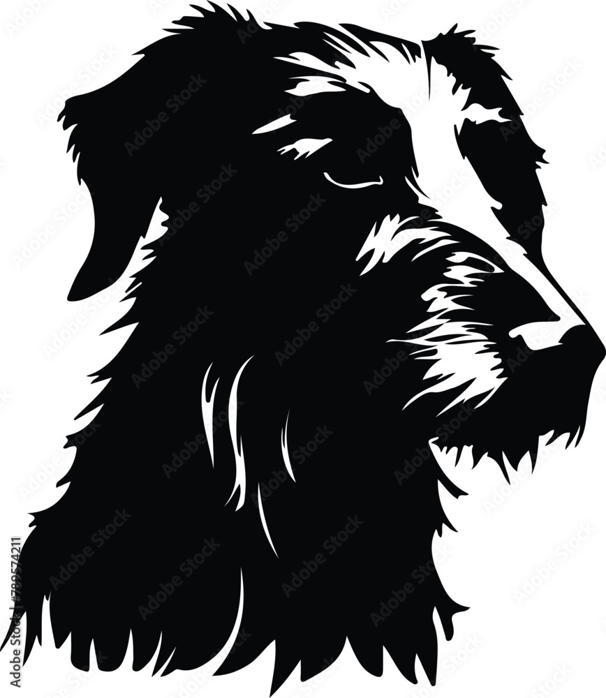 Fototapeta premium Scottish Deerhound silhouette