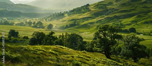Scotland features green meadows, trees, and hills.