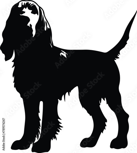 Spinone Italiano silhouette