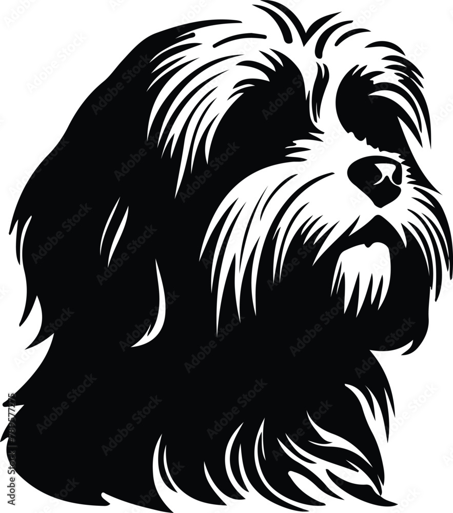 Obraz premium Tibetan Terrier silhouette