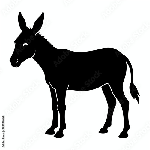 donkey silhouette vector illustration © CreativeDesigns
