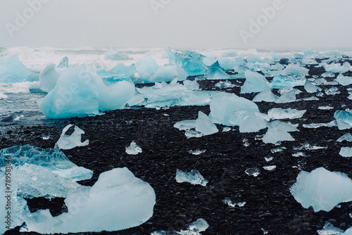 Iceberg fragments on black sand beach photo