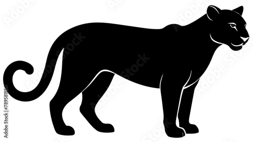 cougar silhouette vector illustration