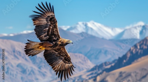 Bird Wings: A photo of a golden eagle soaring above a mountain landscape