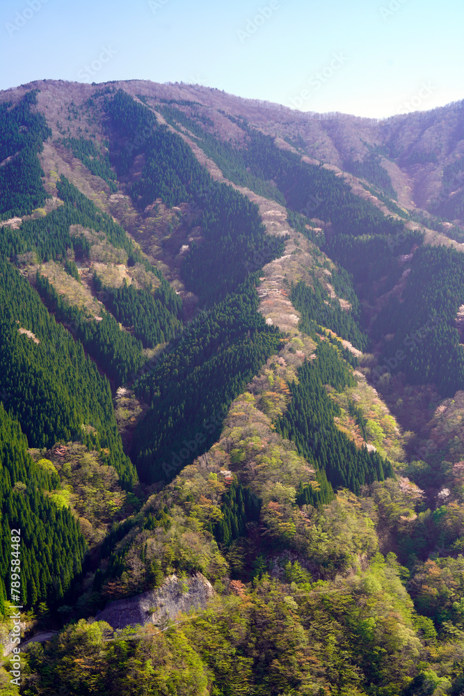 ドローンで上空から撮影した上北山村ナメゴ谷の登り龍