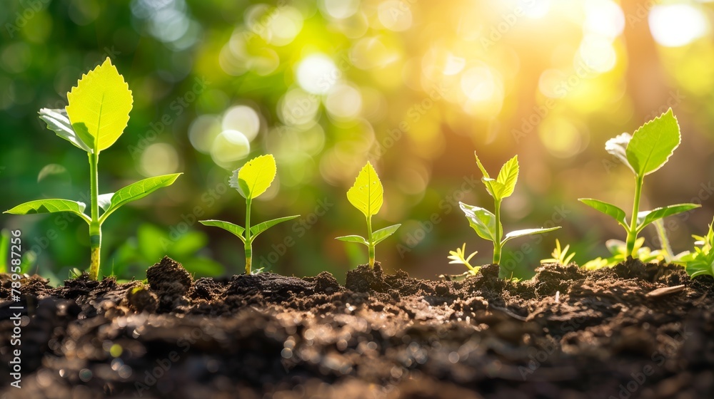 Coins and plants are grown on a pile of coins for finance and banking. The idea of saving money and increasing finances Coins and plants are grown on a pile of coins for finance and banking. The idea of saving money and increasing finances