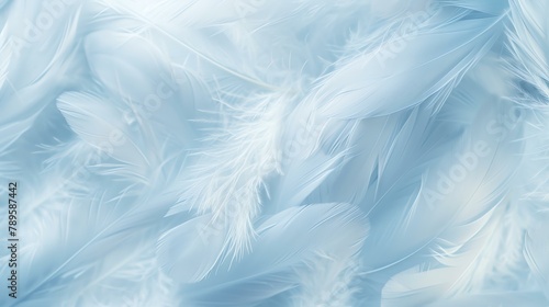 Light blue feathers background. Fluffy feather texture. Soft and delicate. Abstract background for design.