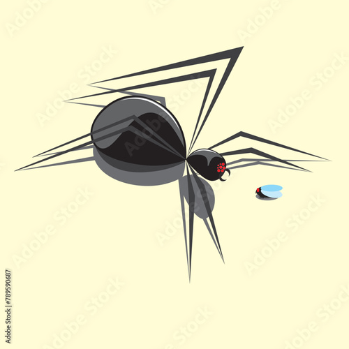 Vector illustration of a spider standing over a fly. A spider about to attack a fly. Spider, hunter, predator, fly, insect.