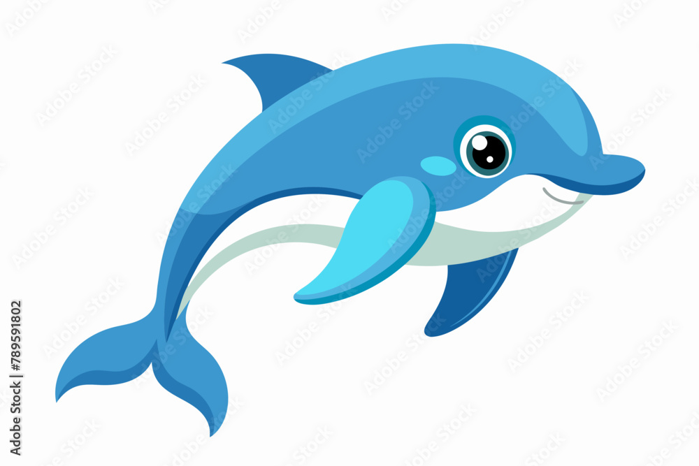cute one dolphins on White Background cute one dolphins on White Background