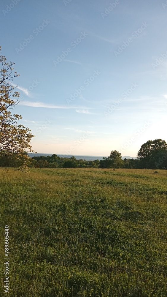 Fototapeta premium sunset over the field