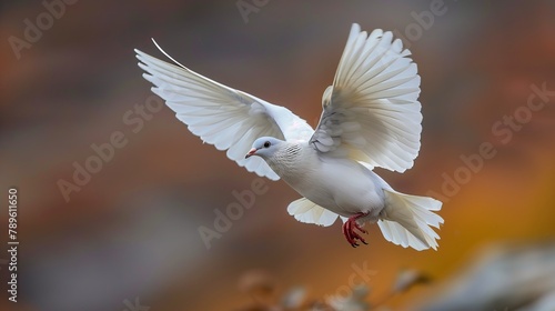 A white seabird peacefully flies with spread wings in the air