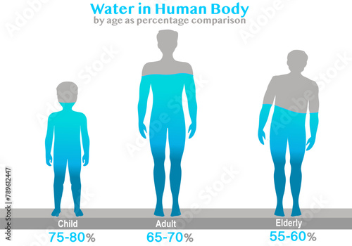 Water rate in human body. by age. Proportion h2o in child, adult, elderly. Person silhouettes, filled, percentage. 50 70 80% water. Pie chart. Gray blue figures. Health illustration vector