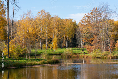 Beautiful autumn landscape with a lake in a golden-brown forest and a bright green meadow, and coastal grass near by the lakeshore, under a blue sky. Reflection of the blue sky in the water.