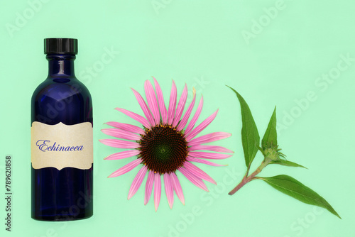 Natural echinacea alternative herbal medicine with tincture bottle. Used to treat coughs colds, flu and bronchitis with flower head and leaf spring on green background.

