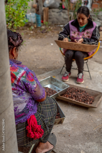 Mexican family cocoa business photo