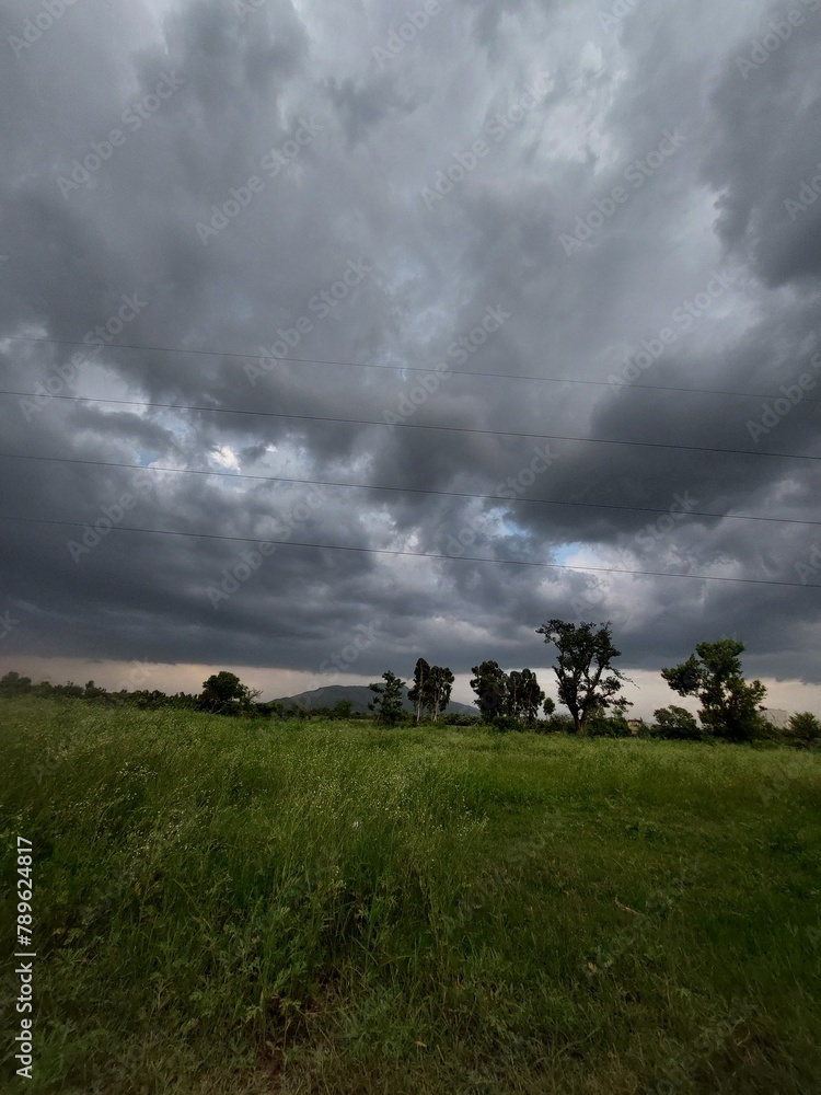 Obraz premium clouds in the field