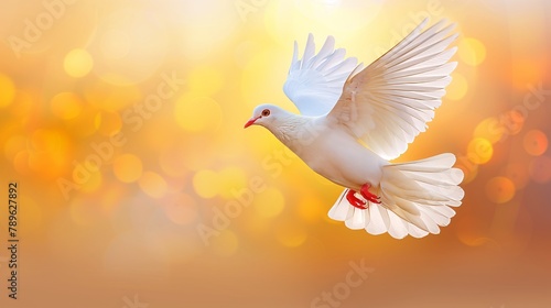 A white bird soars peacefully in the sky, displaying its elegant wings