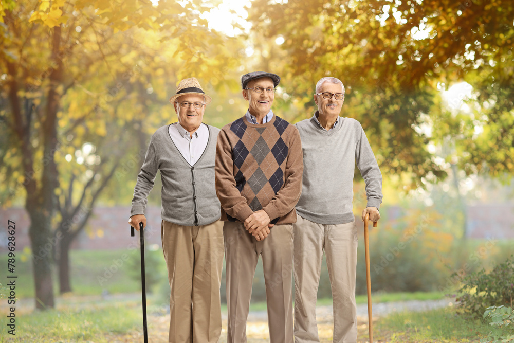 Senior men standing in a park Senior men standing in a park