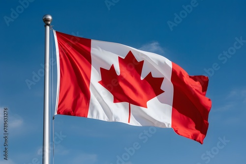 Online shoppingcart Canada flag, import export finance commerce photo