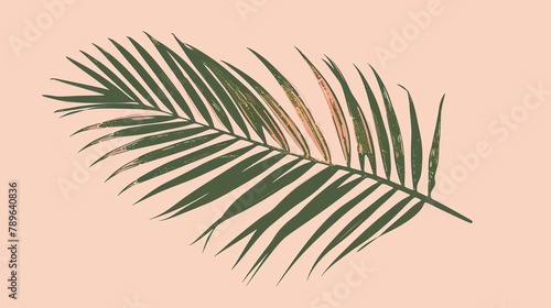 An illustration of a single palm leaf. The leaf is a deep green color with light green veins. The leaf is set against a pink background.