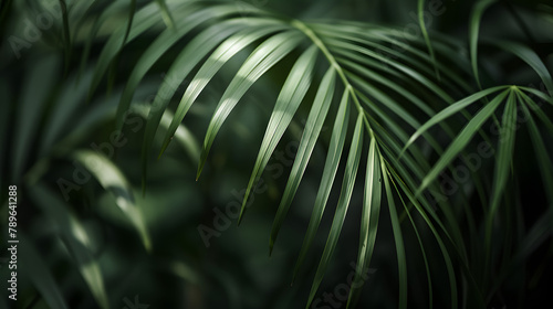 Exquisite Tropical Splendor  Macro Close-Up of Vibrant Palm Leaves Against a Summer Foliage Scenery with Selective Focus in Monochrome Aesthetic