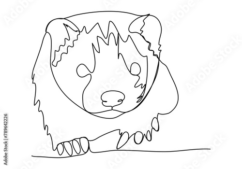 Ferret. One line drawing vector illustration.