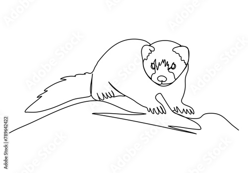 Ferret. One line drawing vector illustration.