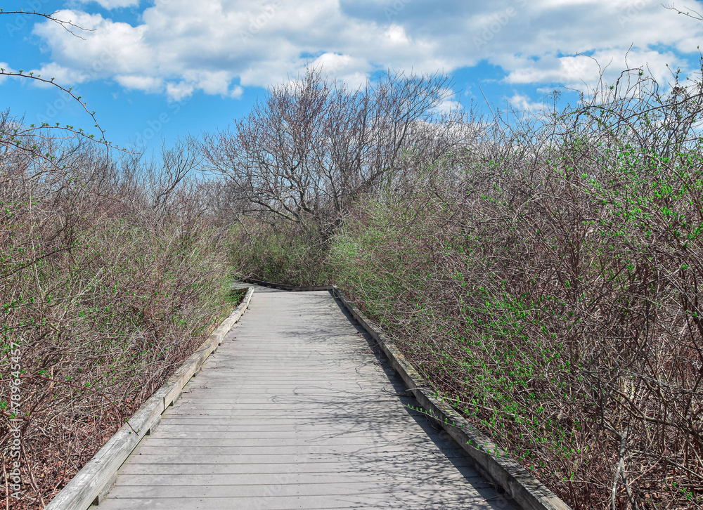 spring arriving at the board walk in parker river spring arriving at the board walk in parker river