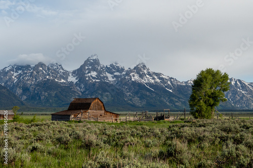 Grand Teton Homestead