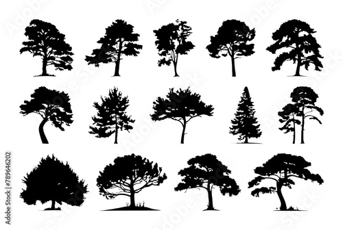 Sketch Trees Forest and deciduous trees. Vector isolated green nature set against transparent background. Architecture and Landscape Design, Vector Illustration of Green Tree. Black simple silhouettes